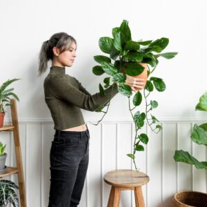 CÓMO DECORAR CON PLANTAS TU HOGAR Y DARLE VIDA